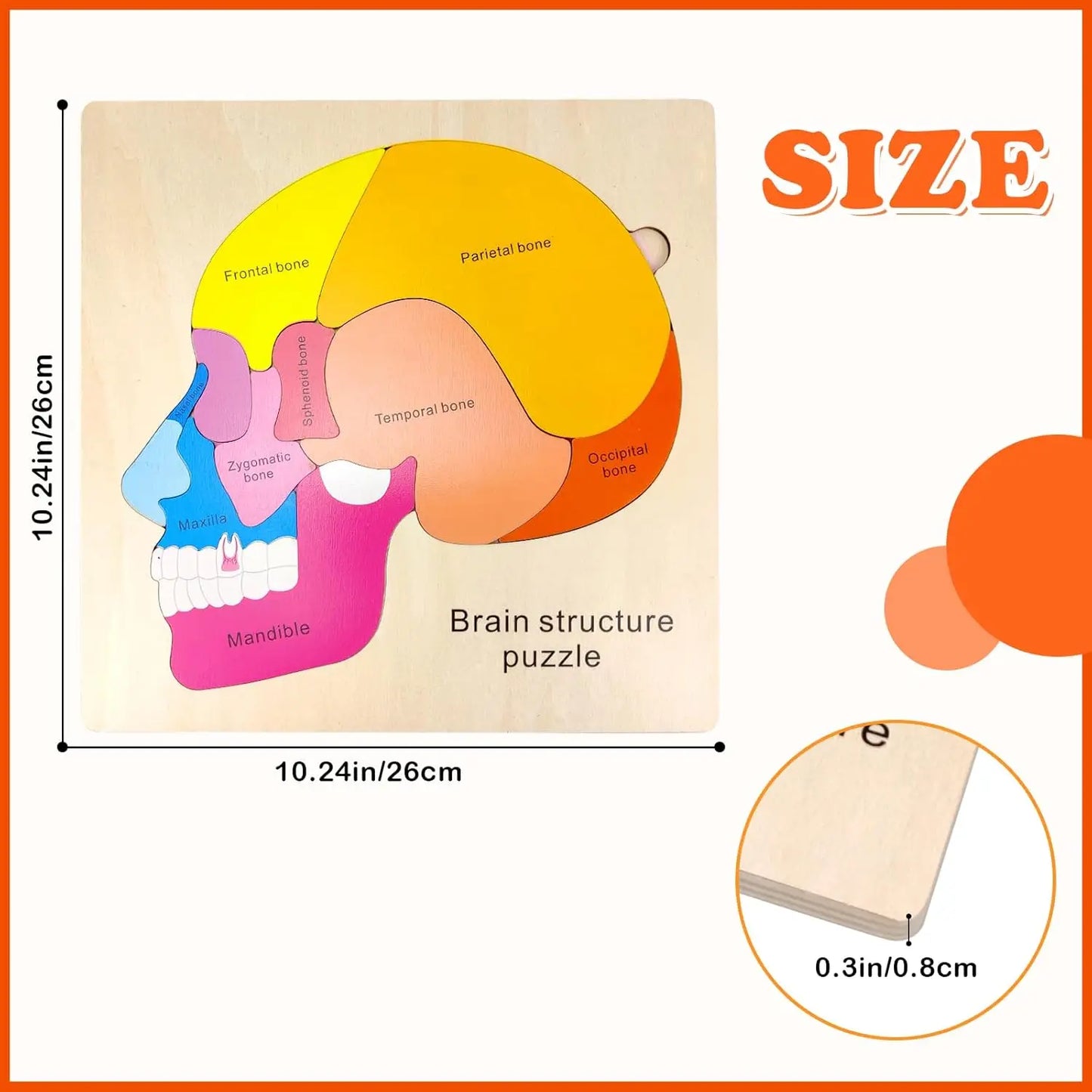 Montessori Human Body Puzzle Busy Board.