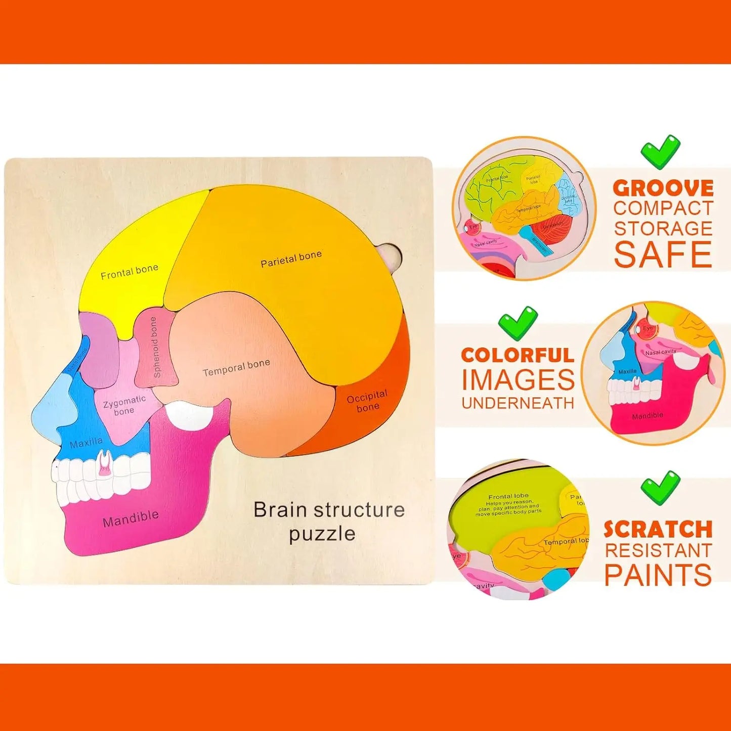 Montessori Human Body Puzzle Busy Board.