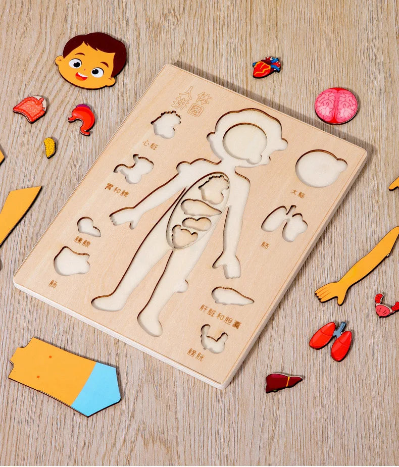 Montessori Human Body Puzzle Busy Board.