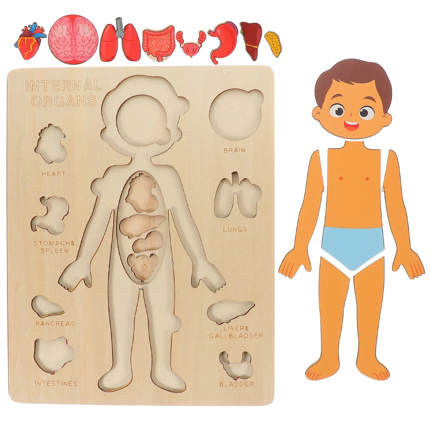 Montessori Human Body Puzzle Busy Board.