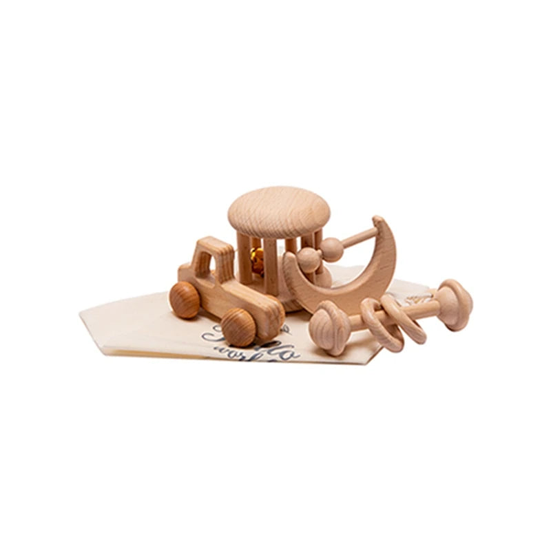 Wooden Montessori Toy Set
