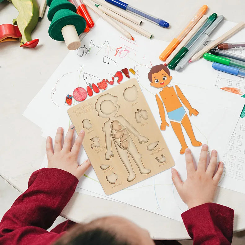 Montessori Human Body Puzzle Busy Board.