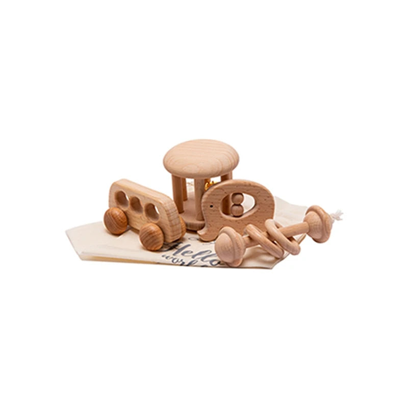 Wooden Montessori Toy Set