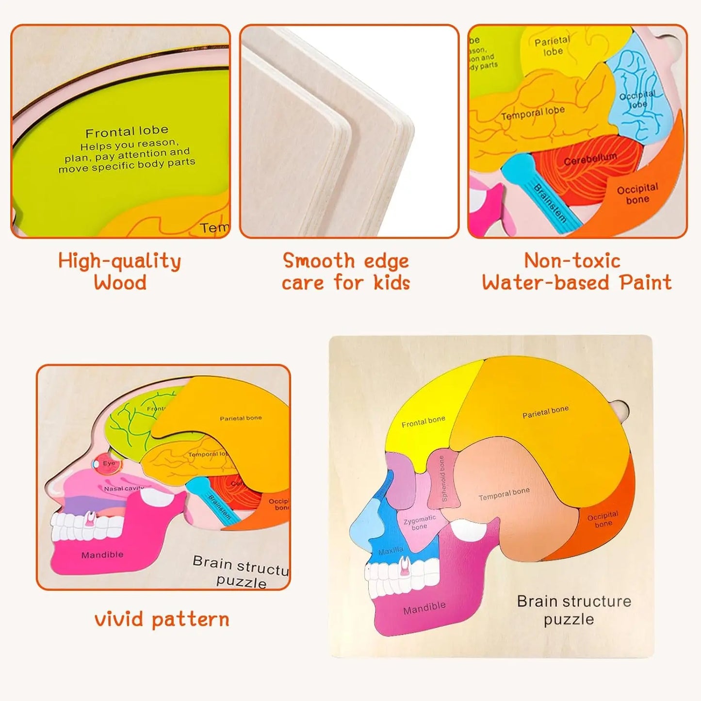 Montessori Human Body Puzzle Busy Board.