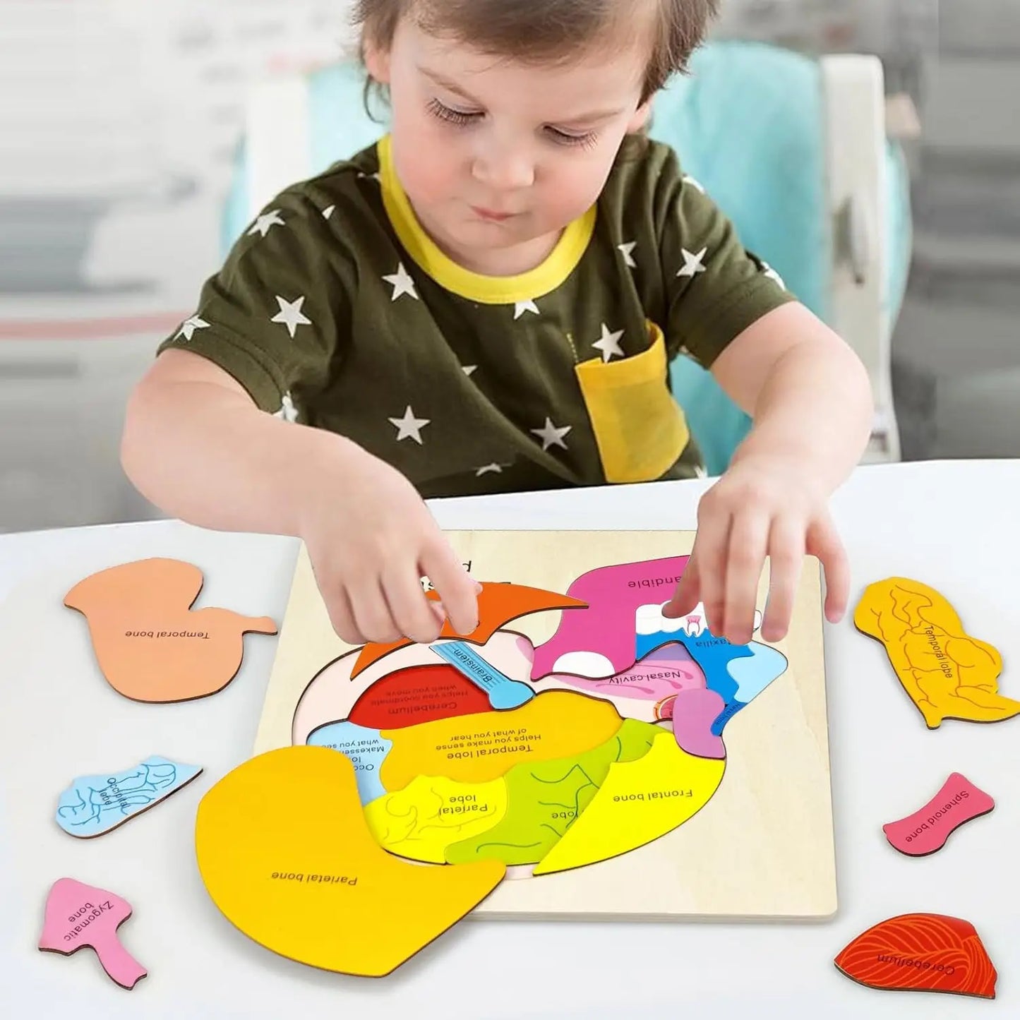 Montessori Human Body Puzzle Busy Board.