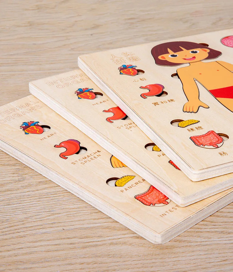Montessori Human Body Puzzle Busy Board.