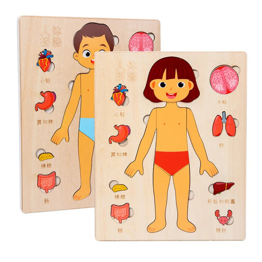 Montessori Human Body Puzzle Busy Board.