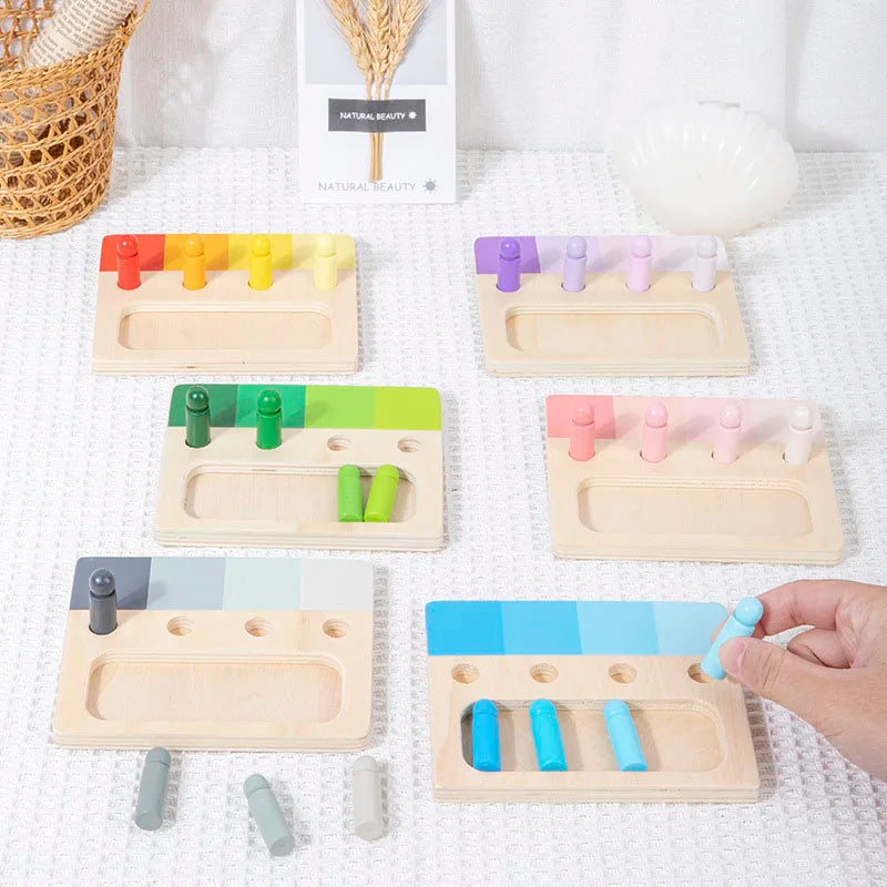 Montessori Wooden Color Matching Toy