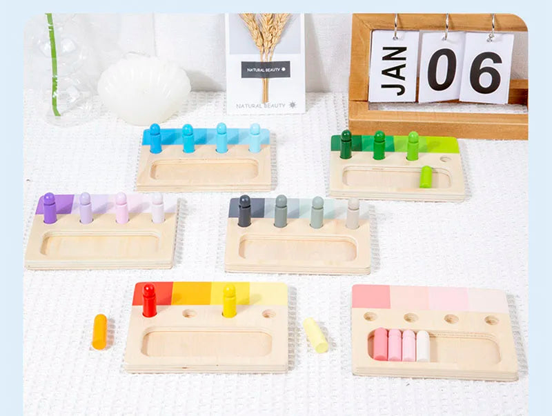 Montessori Wooden Color Matching Toy