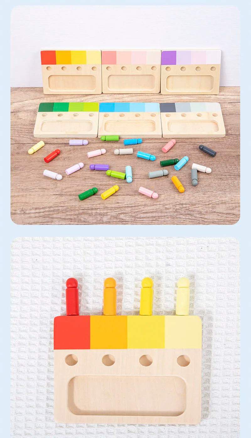 Montessori Wooden Color Matching Toy