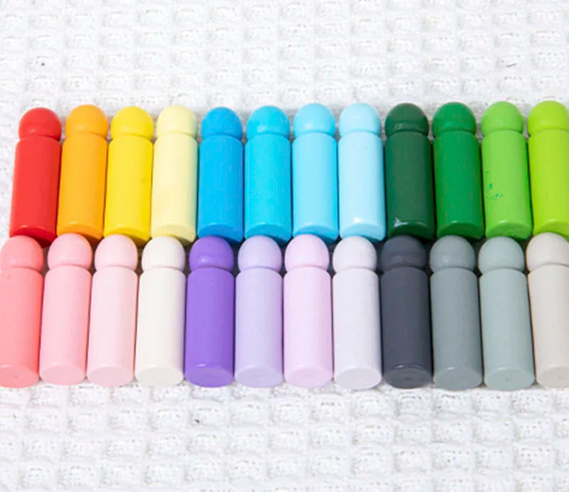 Montessori Wooden Color Matching Toy