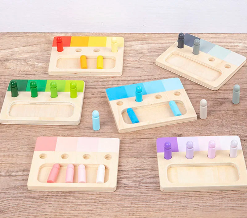 Montessori Wooden Color Matching Toy