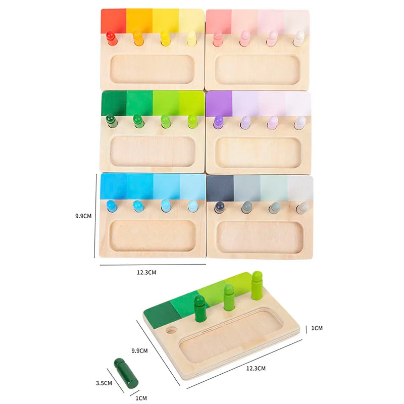 Montessori Wooden Color Matching Toy