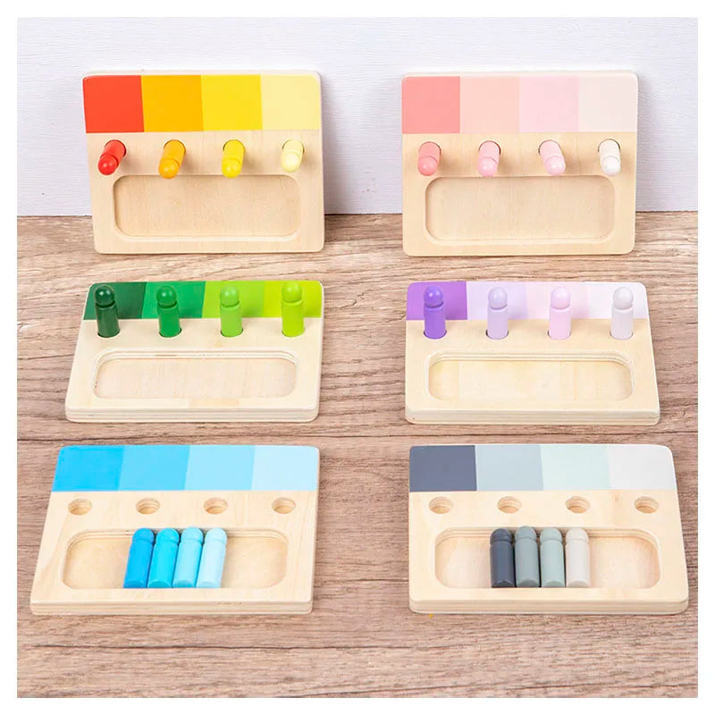 Montessori Wooden Color Matching Toy