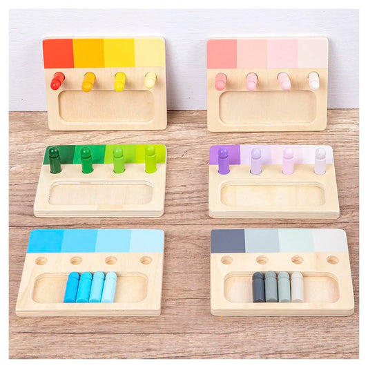 Montessori Wooden Color Matching Toy