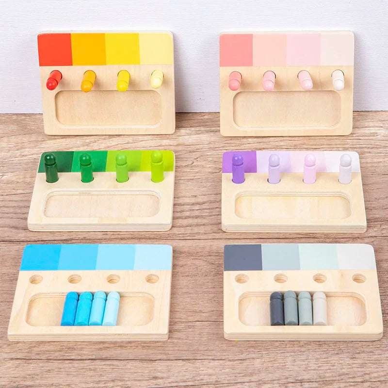 Montessori Wooden Color Matching Toy