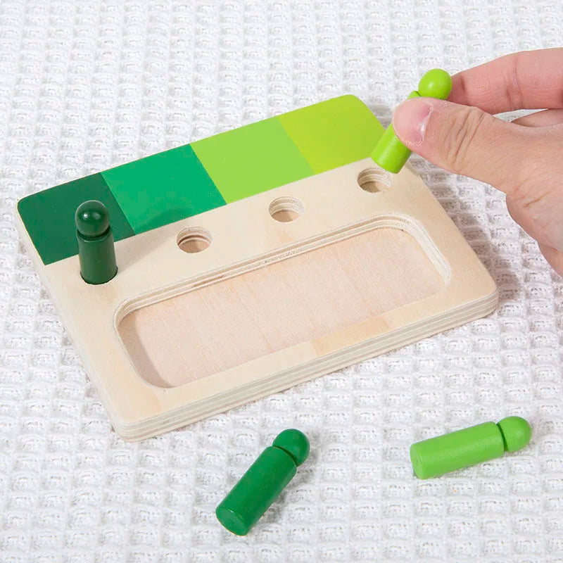 Montessori Wooden Color Matching Toy