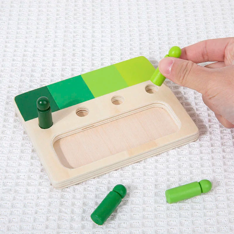 Montessori Wooden Color Matching Toy