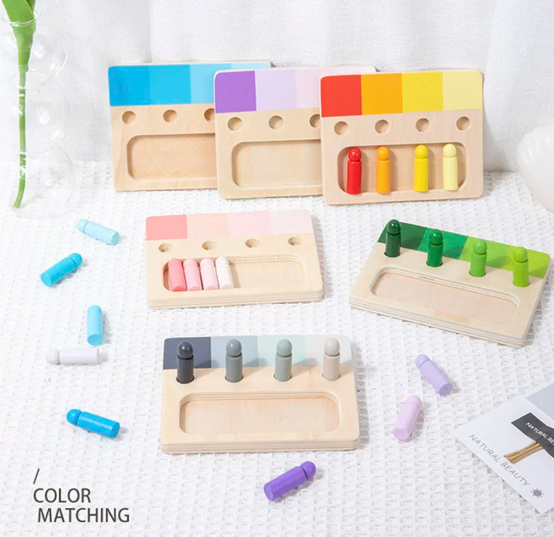 Montessori Wooden Color Matching Toy