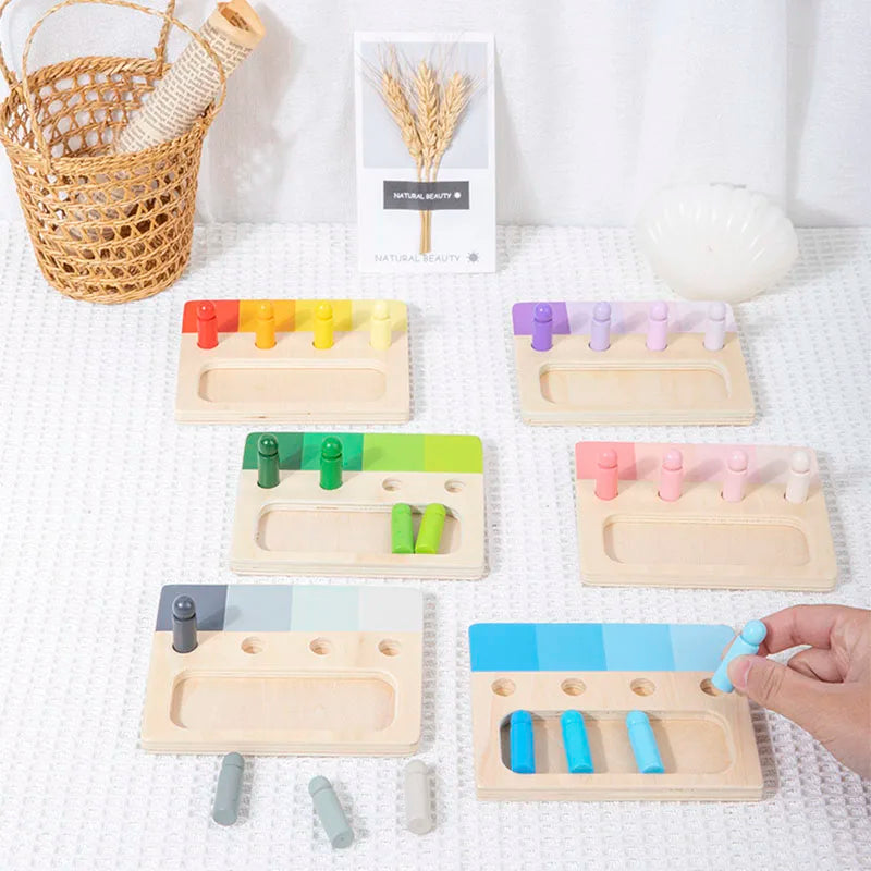 Montessori Wooden Color Matching Toy