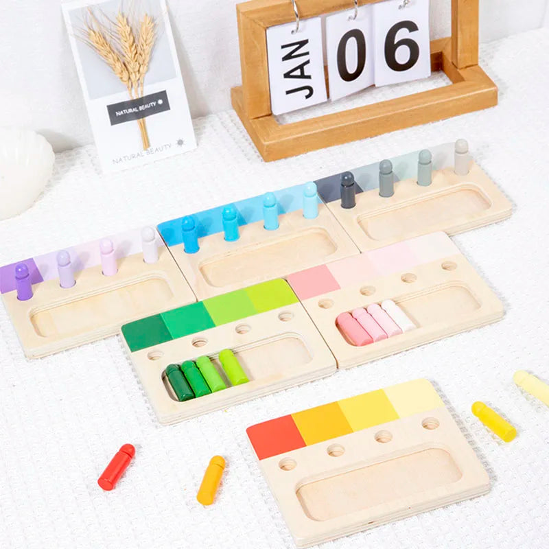 Montessori Wooden Color Matching Toy