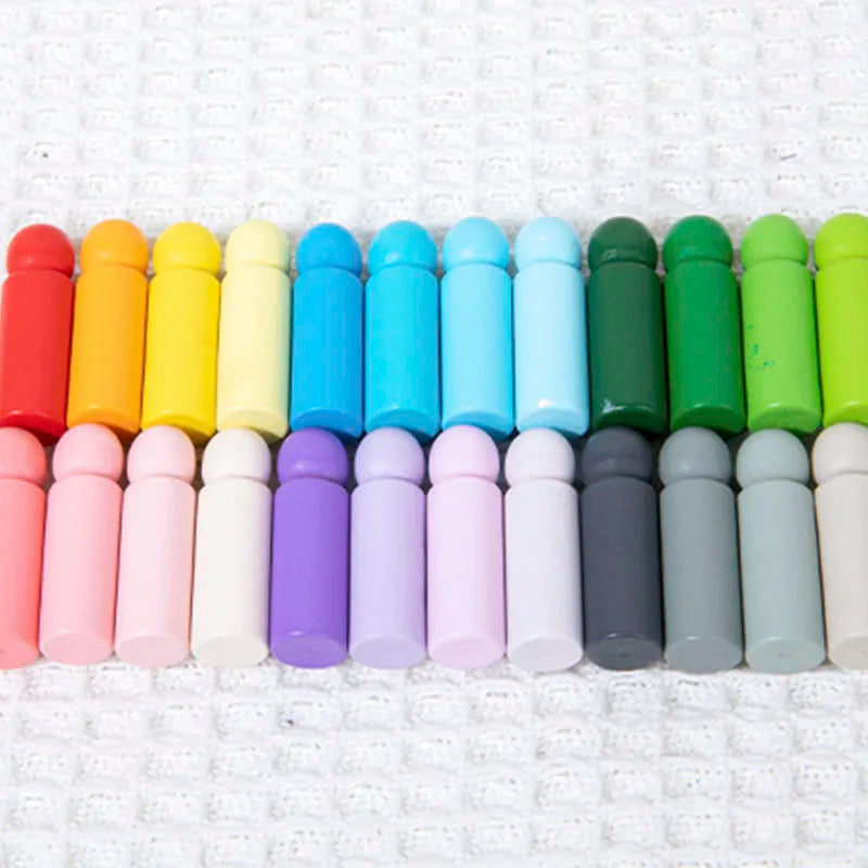 Montessori Wooden Color Matching Toy