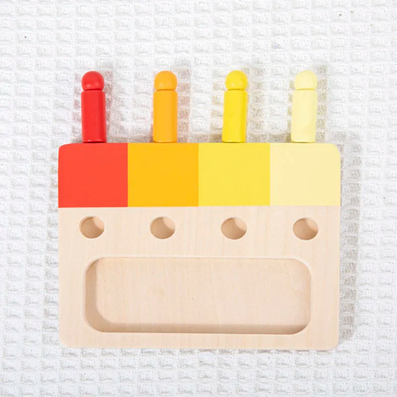 Montessori Wooden Color Matching Toy