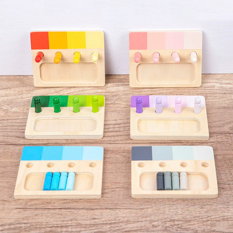 Montessori Wooden Color Matching Toy