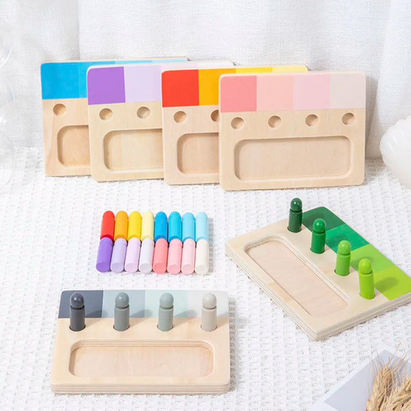 Montessori Wooden Color Matching Toy